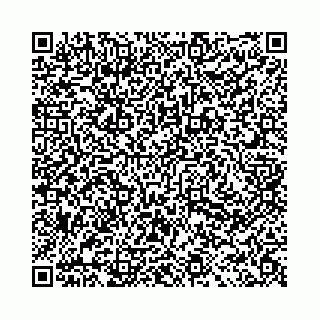 vCard 78031001933