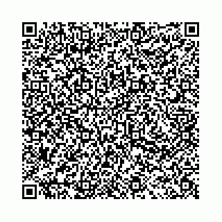 vCard 78031001973