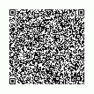 vCard 78031001981
