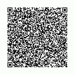 vCard 78031001995