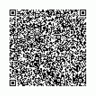 vCard 78031002007