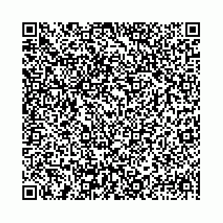 vCard 78031002008