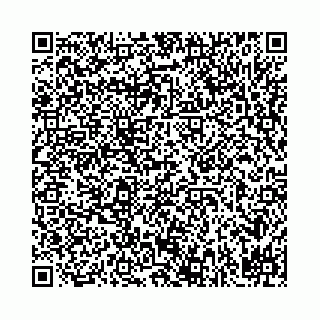 vCard 78031002009