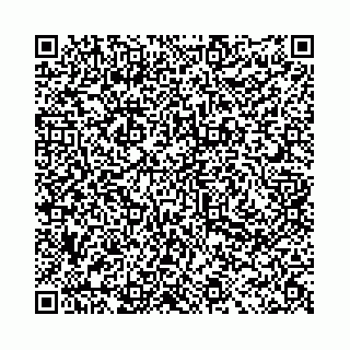 vCard 78031002010