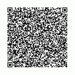 vCard 78031002011