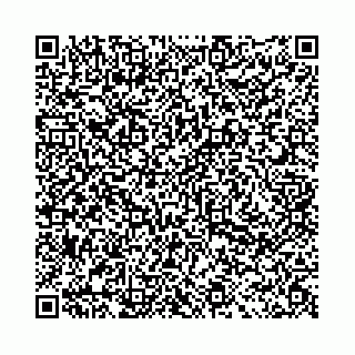 vCard 78031002013