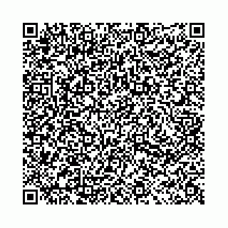 vCard 78031002033