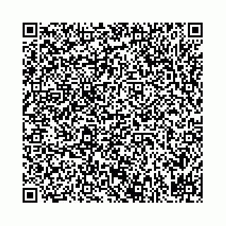 vCard 78031002128