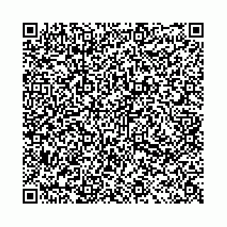 vCard 78031002129