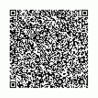 vCard 78031002133