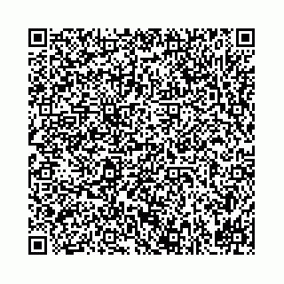 vCard 78031002139