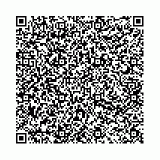 vCard 78031002152