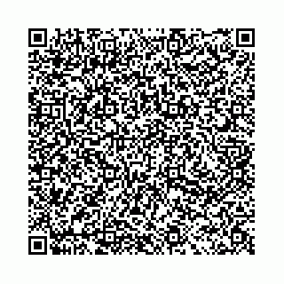 vCard 78031002176