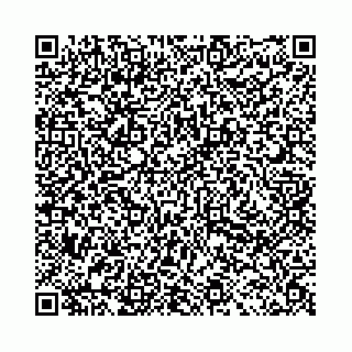 vCard 78031002181
