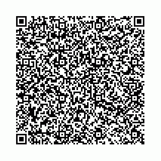 vCard 78031002187