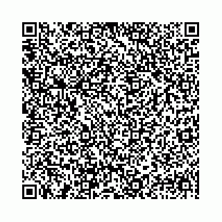 vCard 78031002196