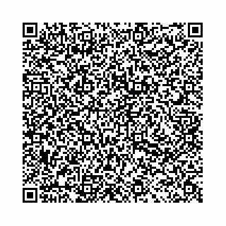 vCard 78031002197