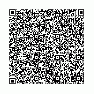 vCard 78031002295