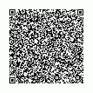 vCard 78031002425