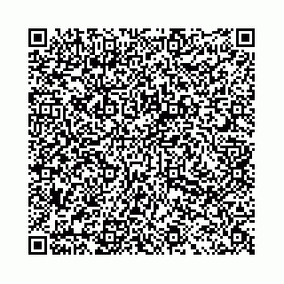 vCard 78031002489