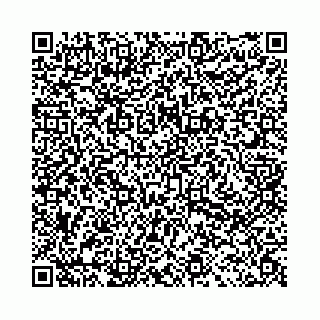 vCard 78031002500