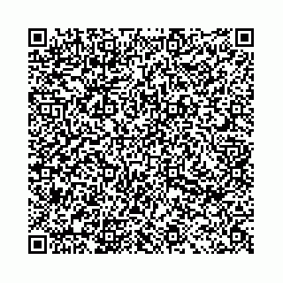 vCard 78031002603