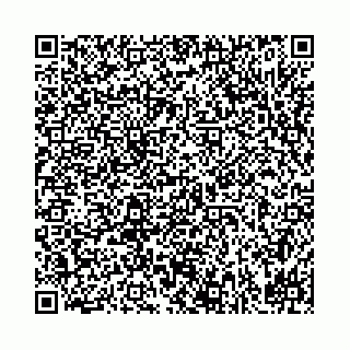 vCard 78031002633