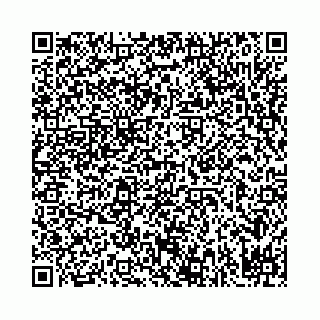 vCard 78031002745