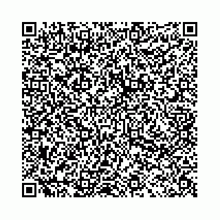 vCard 78031002801