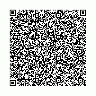 vCard 78031002803