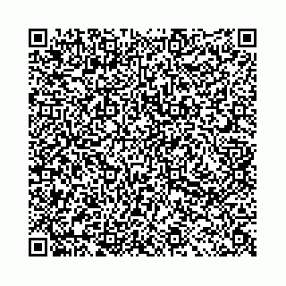 vCard 78031002804