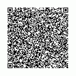 vCard 78031002811