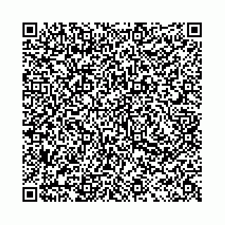 vCard 78031002832