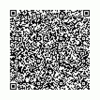 vCard 78031002833