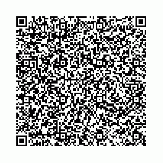 vCard 78031002835