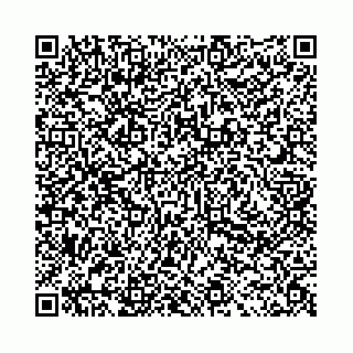 vCard 78031002852