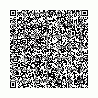 vCard 78031002853