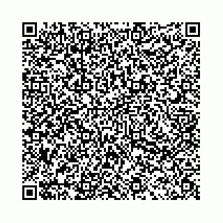 vCard 78031002867