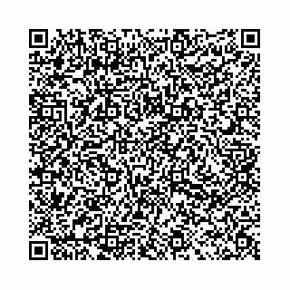 vCard 78031002871