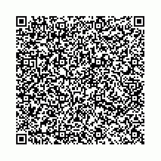 vCard 78031002874