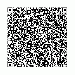 vCard 78031002877