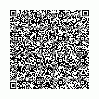 vCard 78031002879