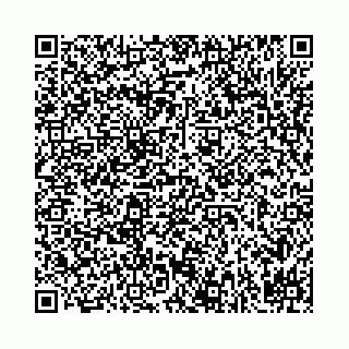 vCard 78031002880