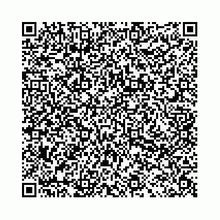 vCard 78031002885