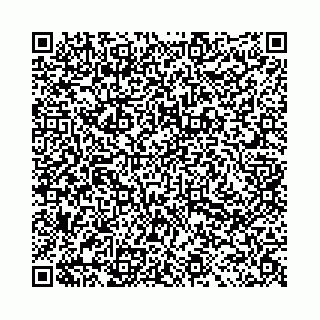 vCard 78031002895