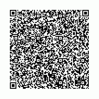 vCard 78031002901