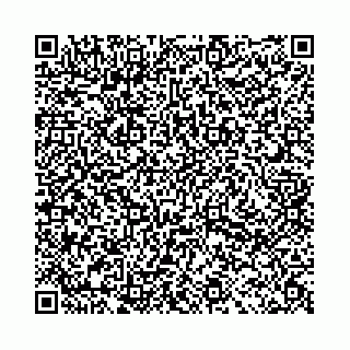 vCard 78031002902