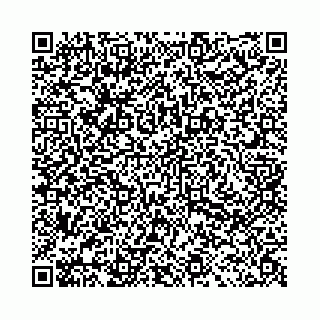 vCard 78031002906