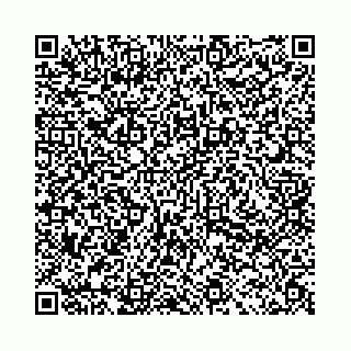 vCard 78031002907
