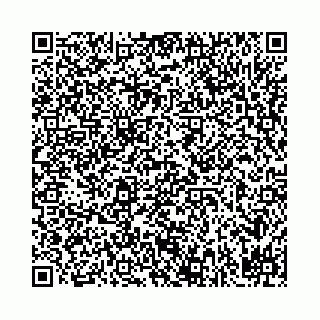 vCard 78031002909